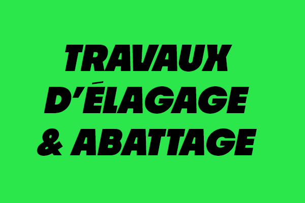 Travaux d’élagage et abattage