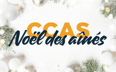 Noël des ainés 2025